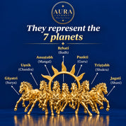 SURYA VASTU SEVEN HORSES FRAME