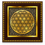 Divine Golden Flower of Life Spiritual Frame