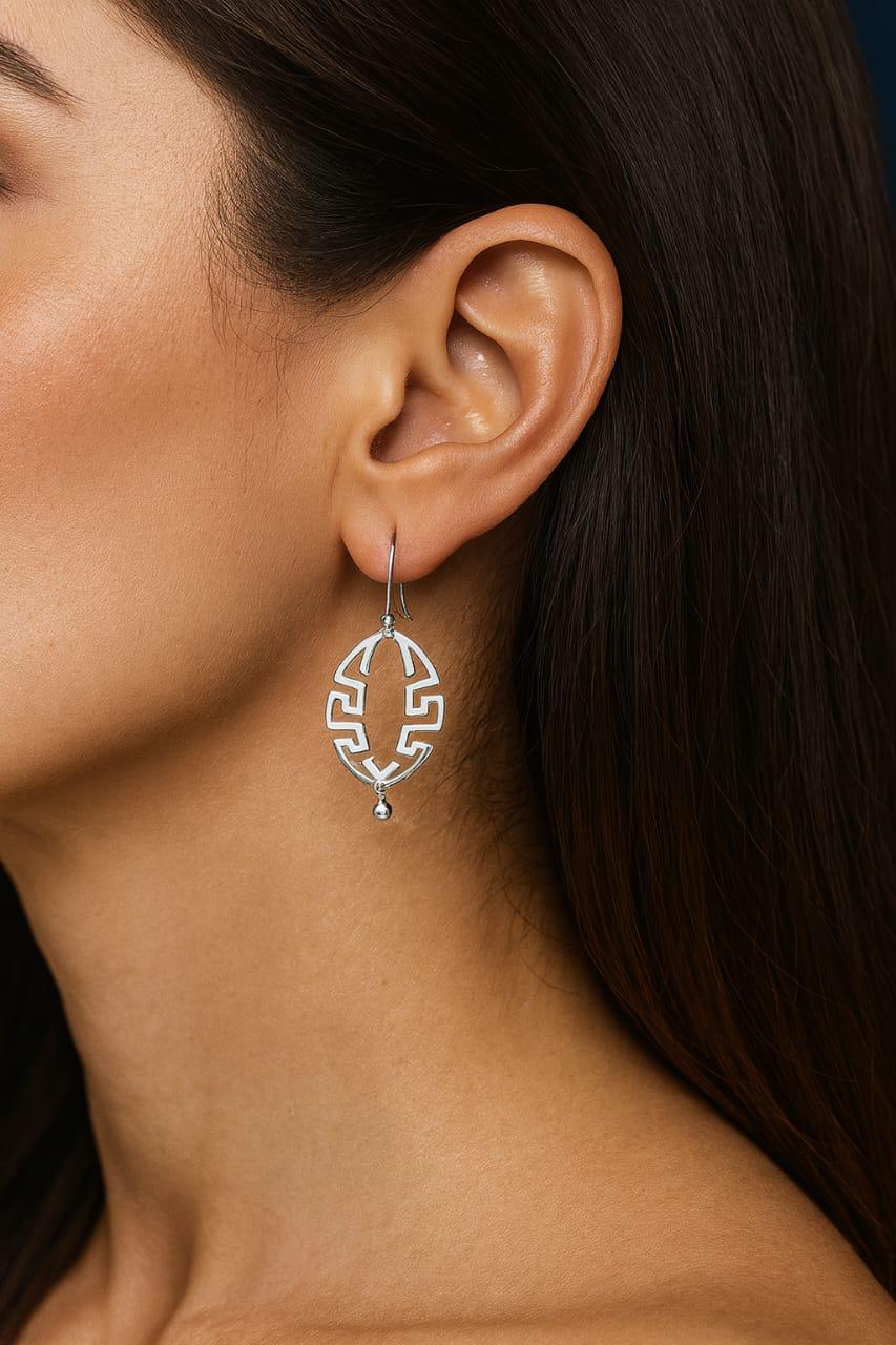925 Sterling Silver Flower Stud Earrings for Women | Sparkling Zircon Diamond | Lightweight Everyday Wear | Elegant Gift Jewellery  ER723-DP239