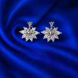 Snow Queen Studs (ER 2310)